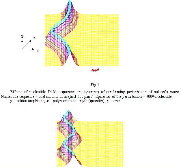 Mathematical Modeling of solitons on DNA